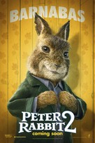 Peter Rabbit 2 Poster Wall Art Maxi Prints New Shows 1915