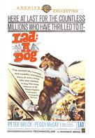 Lad: A Dog - DVD movie cover (xs thumbnail)