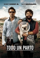 Due Date - Argentinian DVD movie cover (xs thumbnail)