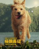 Arthur the King - Taiwanese Movie Poster (xs thumbnail)