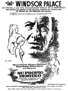 Giovane canaglia Other