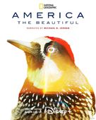 &quot;America the Beautiful&quot; - Movie Poster (xs thumbnail)