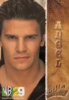 "Buffy the Vampire Slayer" Poster