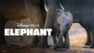 Elephant - Movie Poster (xs thumbnail)