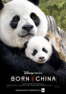 Born in China - Dutch Movie Poster (xs thumbnail)