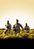 O Brother, Where Art Thou? Textless