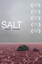 Salt - DVD movie cover (xs thumbnail)