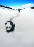 Touch of the Panda - Chinese Key art (xs thumbnail)