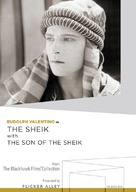 The Sheik - DVD movie cover (xs thumbnail)