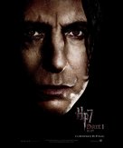 Harry Potter and the Deathly Hallows - Part 1 - Argentinian Movie Poster (xs thumbnail)