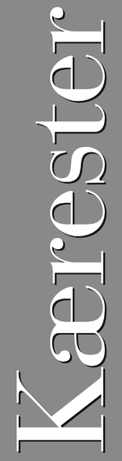Prime - Danish Logo (xs thumbnail)