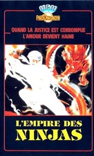 Silver Dragon Ninja - French VHS movie cover (xs thumbnail)