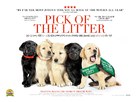 Pick of the Litter - British Movie Poster (xs thumbnail)