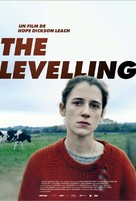 The Levelling - French Movie Poster (xs thumbnail)