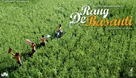 Rang De Basanti - Indian Movie Poster (xs thumbnail)