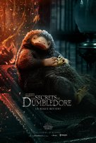 Fantastic Beasts: The Secrets of Dumbledore - French Movie Poster (xs thumbnail)