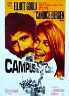 Getting Straight Poster