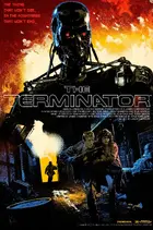 The Terminator Custom