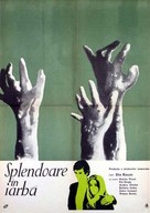 Splendor in the Grass - Romanian Movie Poster (xs thumbnail)