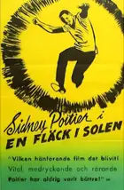 A Raisin in the Sun Poster