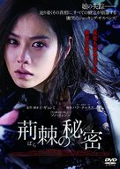 Bimileun Eopda - Japanese DVD movie cover (xs thumbnail)