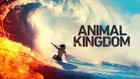 "Animal Kingdom" Cover