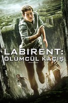 The Maze Runner - Turkish Movie Cover (xs thumbnail)