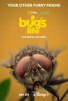 &quot;A Real Bug&#039;s Life&quot; - Movie Poster (xs thumbnail)