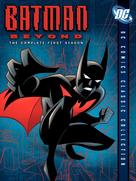 &quot;Batman Beyond&quot; - DVD movie cover (xs thumbnail)