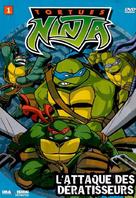 &quot;Teenage Mutant Ninja Turtles&quot; - Canadian DVD movie cover (xs thumbnail)