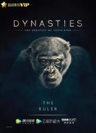 &quot;Dynasties&quot; - Chinese Movie Poster (xs thumbnail)