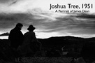 Joshua Tree, 1951: A Portrait of James Dean - Movie Poster (xs thumbnail)