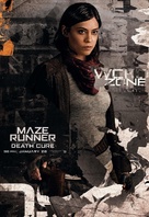 Maze Runner the Death Cure Movie Premium POSTER MADE IN USA - MCP058