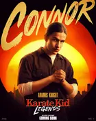 Karate Kid: Legends Poster