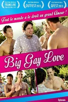 Big Gay Love - French DVD movie cover (xs thumbnail)