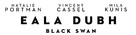 Black Swan - Irish Logo (xs thumbnail)