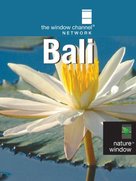 Bali - British Video on demand movie cover (xs thumbnail)