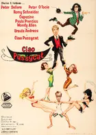 What's New, Pussycat Poster