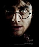 Harry Potter and the Deathly Hallows - Part 1 - Argentinian Movie Poster (xs thumbnail)