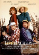 Grumpier Old Men - French DVD movie cover (xs thumbnail)
