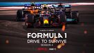 Formula 1: Drive to Survive - Movie Poster (xs thumbnail)