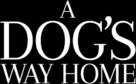 A Dog's Way Home - Logo (xs thumbnail)