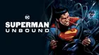 Superman: Unbound Cover