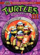 Teenage Mutant Ninja Turtles III - Movie Cover (xs thumbnail)