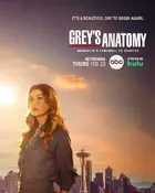 "Grey's Anatomy" Poster