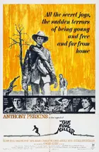 The Fool Killer Poster