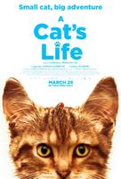Mon chat et moi, la grande aventure de Rro&ucirc; - Movie Poster (xs thumbnail)
