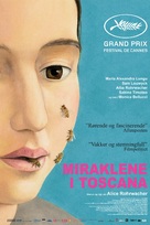 Le meraviglie - Norwegian Movie Poster (xs thumbnail)