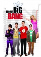 &quot;The Big Bang Theory&quot; - Romanian DVD movie cover (xs thumbnail)