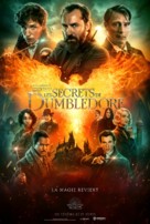 Fantastic Beasts: The Secrets of Dumbledore - French Movie Poster (xs thumbnail)